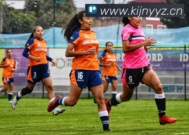 开云官方网最新版APP 封面图